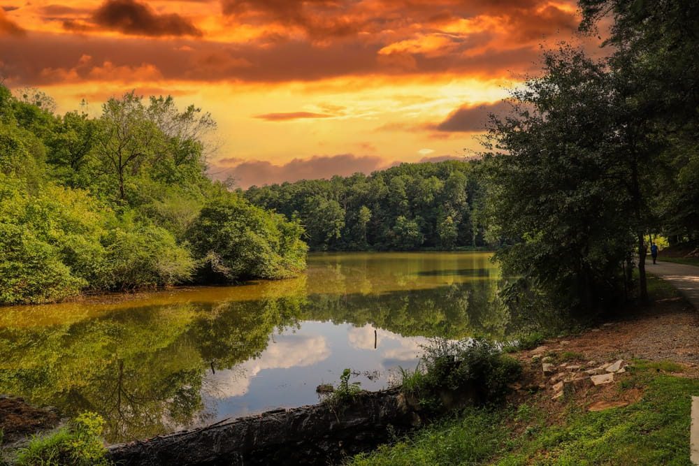 lake water at Candler Lake surrounded by lush green trees and plants reflecting off the lake with powerful clouds at Lullwater Preserve in Decatur Georgia